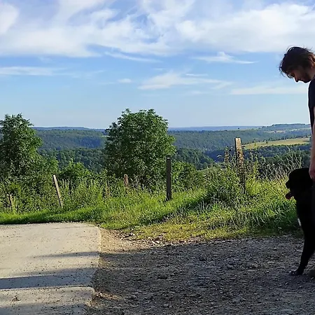 La Maison Vienvenue - Bike, Hike And Meet Alike Anthisnes