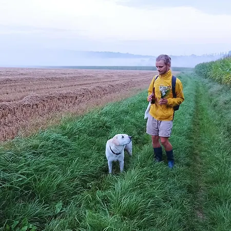 La Maison Vienvenue - Bike, Hike And Meet Alike Bed & Breakfast