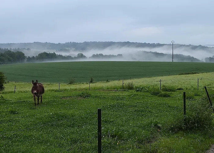 La Maison Vienvenue - Bike, Hike And Meet Alike