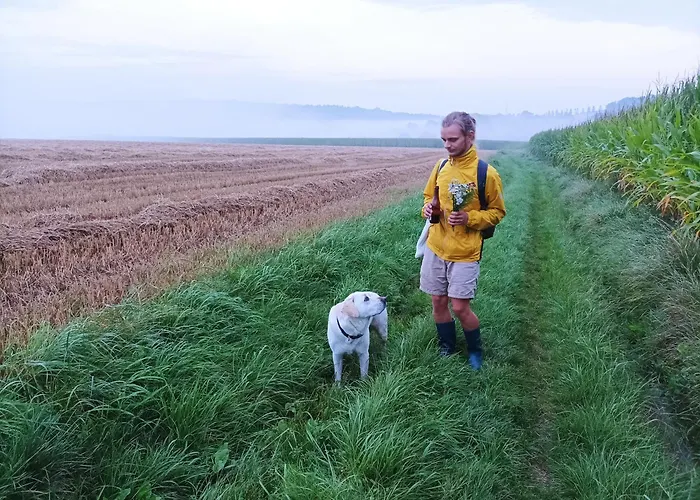 La Maison Vienvenue - Bike, Hike And Meet Alike Bed & Breakfast